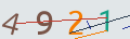 verifycode